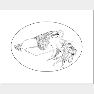 Fancy Cuttlefish Oval Sticker Posters and Art